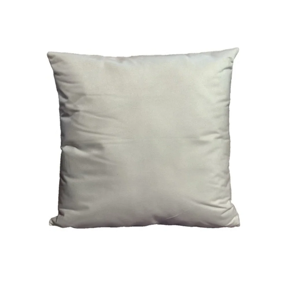 NEW novelty throw pillow 18x18‎ inches pillowcase & insert included tarantula